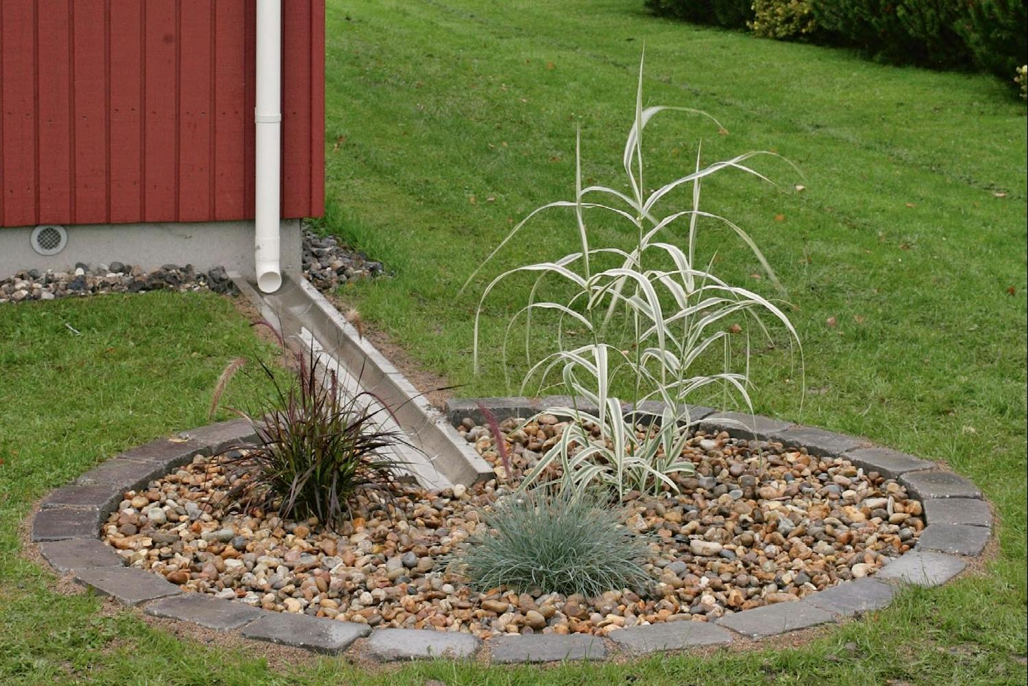 Drenere plen med regnbed Drenere plen med regnbed